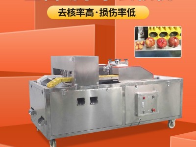 工厂直销 全自动李子去核机 樱桃李子取核机 商用小型水果脱核机图3
