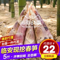 新鲜现挖临安春笋5斤竹笋冬笋雷笋天目山鲜笋农家蔬菜雷笋春笋