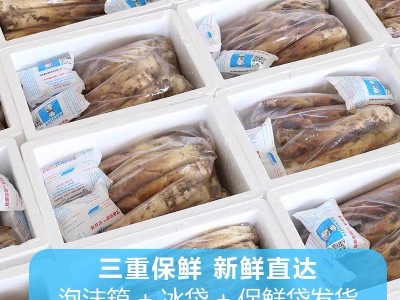 新鲜现挖临安春笋5斤竹笋冬笋雷笋天目山鲜笋农家蔬菜雷笋春笋图2