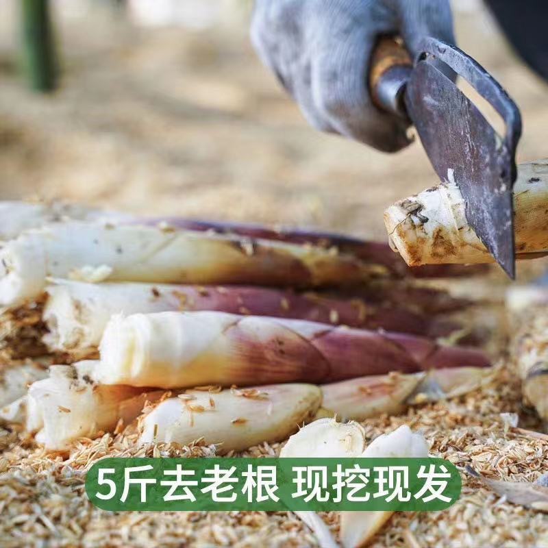 主图1-1