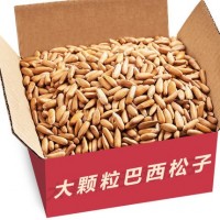 新货巴西松子罐装坚果手剥开口松子散装大颗粒原味松果零食