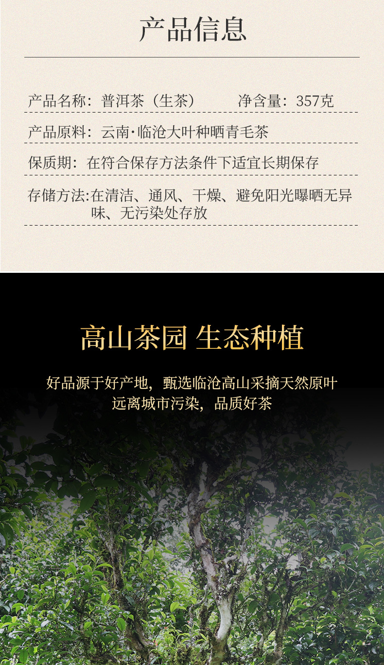 七子饼茶（生茶）_02.jpg