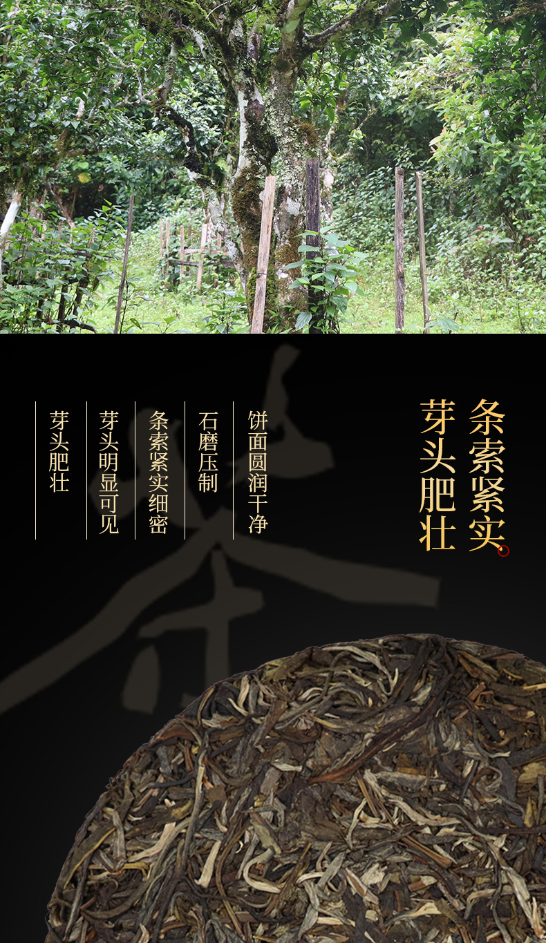 七子饼茶（生茶）_03.jpg