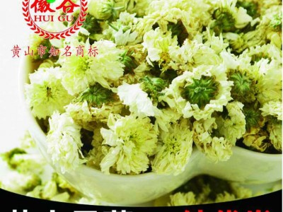 产地货源新七月菊 太阳花大朵新花菊花茶大货批发 黄山贡菊图2