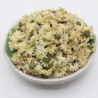 产地货源新七月菊 太阳花大朵新花菊花茶大货批发 黄山贡菊