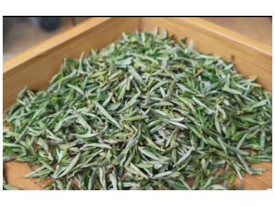 黄山茶叶源头厂家大货散货批发高山茶叶安徽绿茶2022新茶质量保证图2