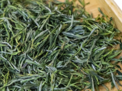 黄山茶叶源头厂家大货散货批发高山茶叶安徽绿茶2022新茶质量保证图5