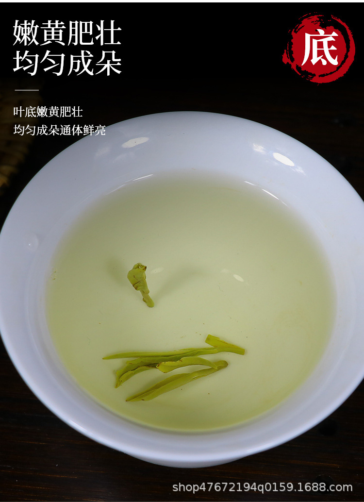 绿茶1_06.jpg
