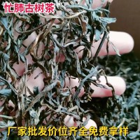 忙肺山古树茶普洱茶生茶茶叶批发叶厂家散茶500G高山永德散装茶叶