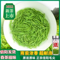 批发茶叶信阳毛尖2022新茶明前春茶浓香耐泡嫩芽手工高山绿茶250g