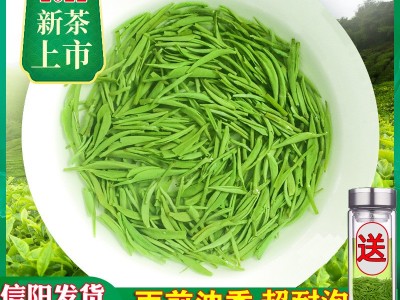 批发茶叶信阳毛尖2022新茶明前春茶浓香耐泡嫩芽手工高山绿茶250g图2