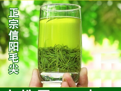 批发茶叶信阳毛尖2022明前嫩芽高山云雾春茶浓香手工散装绿茶500g图3