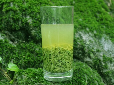 茶叶信阳毛尖2022新茶明前春茶高山纯小嫩芽栗香散装毛尖绿茶500g图2