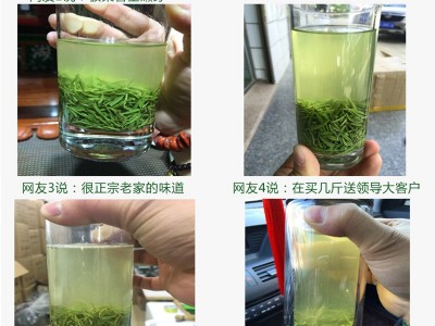 茶叶信阳毛尖2022新茶明前春茶高山纯小嫩芽栗香散装毛尖绿茶500g图3