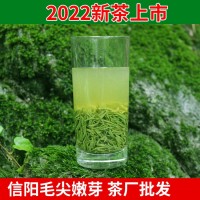 茶叶信阳毛尖2022新茶明前春茶高山纯小嫩芽栗香散装毛尖绿茶500g