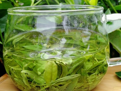 批发茶叶信阳毛尖茶绿2022新茶散装正宗雨前春茶散装手工茶叶500g图2
