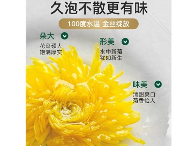 艺福堂花茶金丝皇菊菊花茶黄菊胎菊批发厂家直销图4