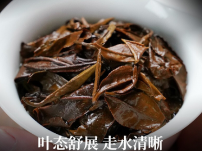 批发福鼎白茶老白茶陈年白茶茶饼寿眉自然陈化福鼎白茶茶饼350g图4