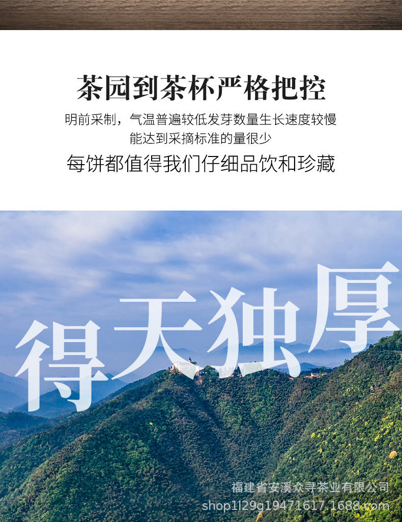 福鼎白茶详情_04.jpg