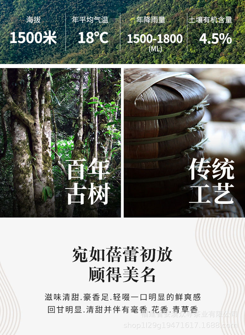 福鼎白茶详情_05.jpg