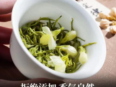 批发茉莉花茶茉莉飘雪耐泡浓香型茉莉飘雪2022新茶送礼罐装150g图2