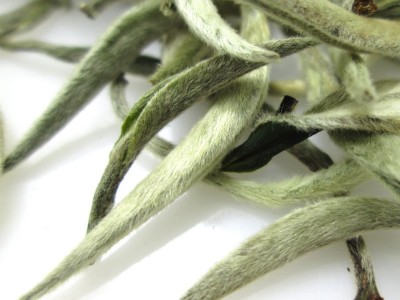 云南白茶 2022年大白毫白茶 景谷月光白 单芽白毫银针 散装茶叶图2