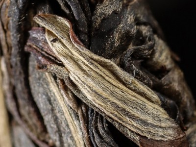 百年古树普洱生饼批发 云南产地普洱茶茶饼 小户赛古树茶图3