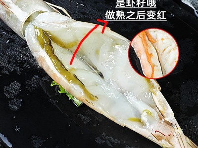 青岛大明虾鲜活海捕虾对虾特大虾新鲜冷冻海虾类海鲜水产图2