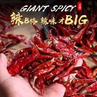 小米辣椒干特辣湖南巨辣超辣变态辣印度魔鬼辣椒整个辣椒粉辣椒面