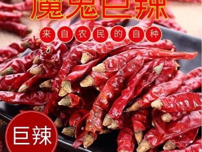 小米辣椒干特辣湖南巨辣超辣变态辣印度魔鬼辣椒整个辣椒粉辣椒面图2