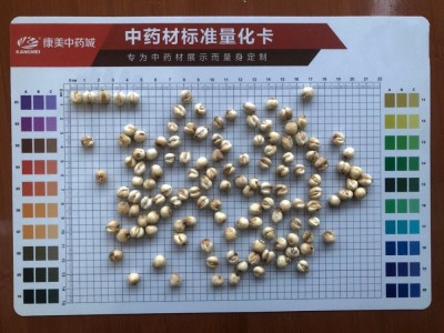 四川贝母野生 批发川贝 川贝母粉平贝松贝炉贝母新疆贝母西藏贝母图4