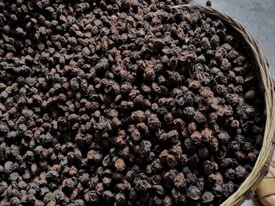 中药材批发烟熏乌梅干酸梅汤原材料500g黑乌梅肉批发黑酸汤乌梅图3