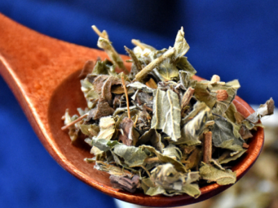 中药材仙鹤草批发中草药 龙芽草 脱力草 狼牙草 现货批发量大价优图2