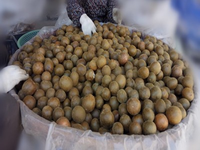 广西罗汉果桂林特产永福龙脊梯田20-40mm花果茶产地直销 按斤批发图3