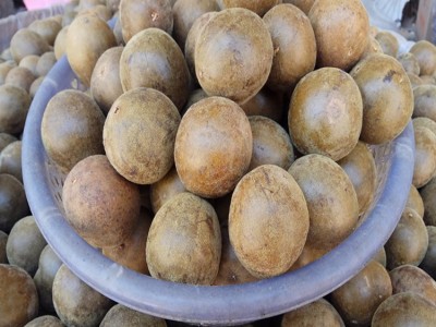 广西罗汉果桂林特产永福龙脊梯田20-40mm花果茶产地直销 按斤批发图4