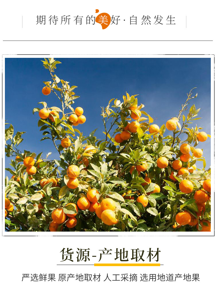 香橙片_06.jpg