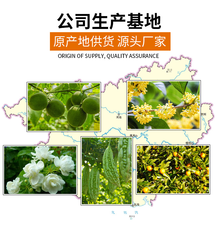 香橙片_03.jpg