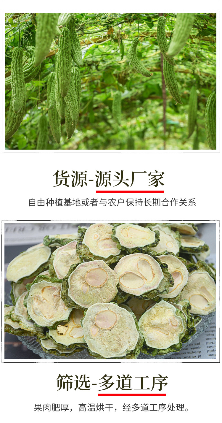 苦瓜_05