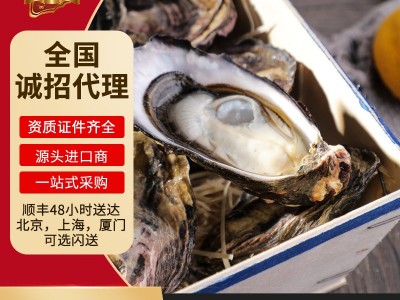 新西兰马尔伯勒蚝生大量批发海鲜鲜活批发 餐厅刺身生蚝批发招商图2