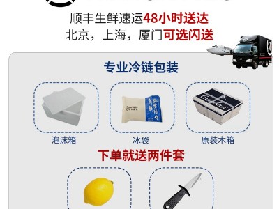 新西兰马尔伯勒蚝生大量批发海鲜鲜活批发 餐厅刺身生蚝批发招商图4