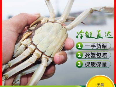产地批发大闸蟹鲜活现货兴化红膏螃蟹礼券母蟹卡礼盒江苏河蟹图1