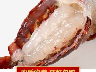 6789钱洪湖小龙虾鲜活水产湖北潜江产地货源大红大青清水龙虾批发图4