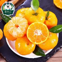 王小二 南丰蜜桔水果橘子新鲜10斤当季蜜橘应季整箱时令桔子丑甜