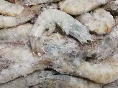 连云港水产冰冻海鲜大虾3.6斤装 海虾40-50 海鲜速冻对虾图3