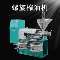 菜籽螺旋榨油机 全自动菜籽花生核桃螺旋榨油机 大型商用压油机