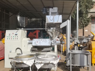 菜籽榨油机商用大型全自动花生炸油机油坊核桃大豆胡麻油葵压油机图5