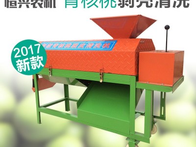 青核桃去皮机电动脱皮机中小型家用剥皮清洗一体竖河硬核桃机图2