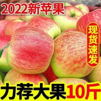 [22年头茬新苹果】脆甜红苹果早熟红富士水果新鲜当季3/5/10斤装