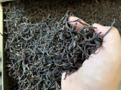 潮州饶平科发茶叶批发高山秋单枞茶浓香型罐装散装礼盒装纸装图1