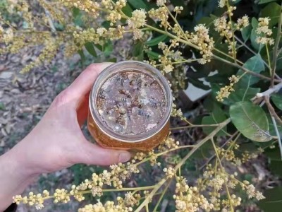 两斤瓶装蜂蜜产品春自产深山蜂场土蜂蜜现货瓶装农家土特产龙眼蜜图4